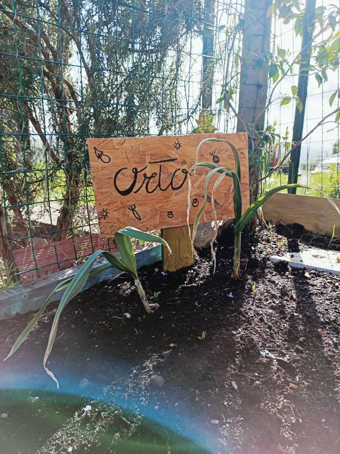 B&B Un Posto Nel Mondo Σιένα Εξωτερικό φωτογραφία